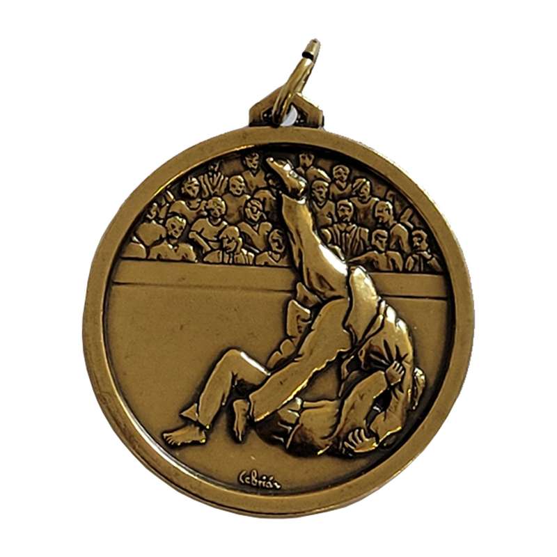354 JUDO BRASS MEDAL 56MM