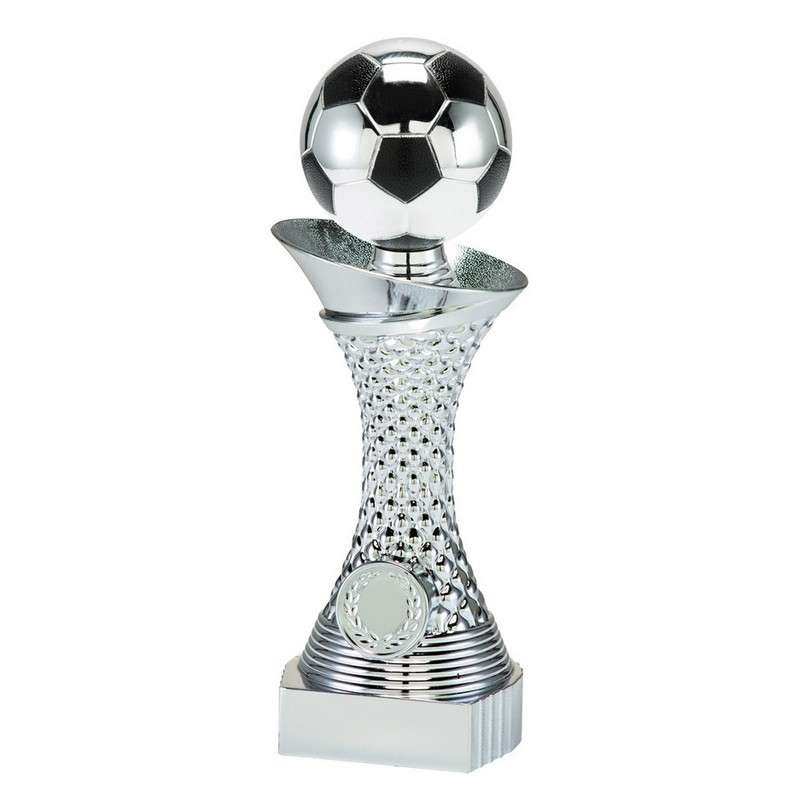 SILVER CROC FOOTBALL AWARD