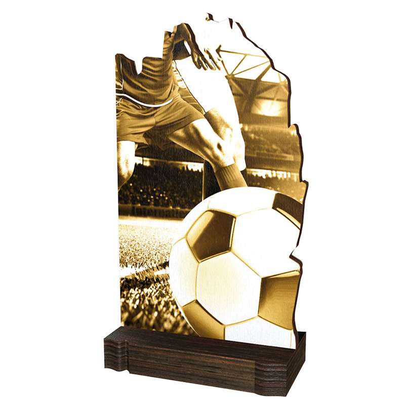 FOOTBALL WOOD ABSTRACT TROPHY