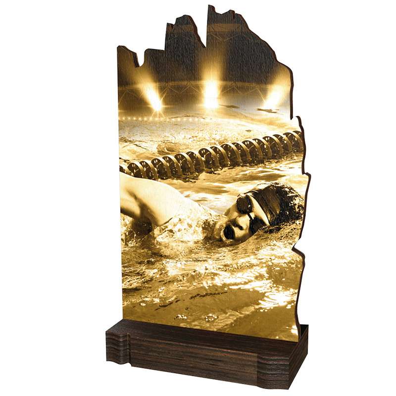 SWIMMING WOOD ABSTRACT TROPHY