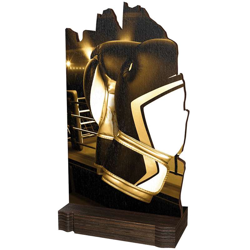 BOXING WOOD ABSTRACT TROPHY