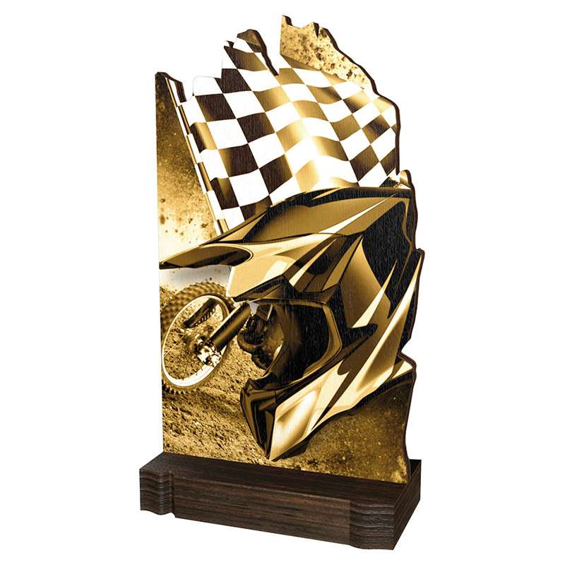 BIKE WOOD ABSTRACT TROPHY