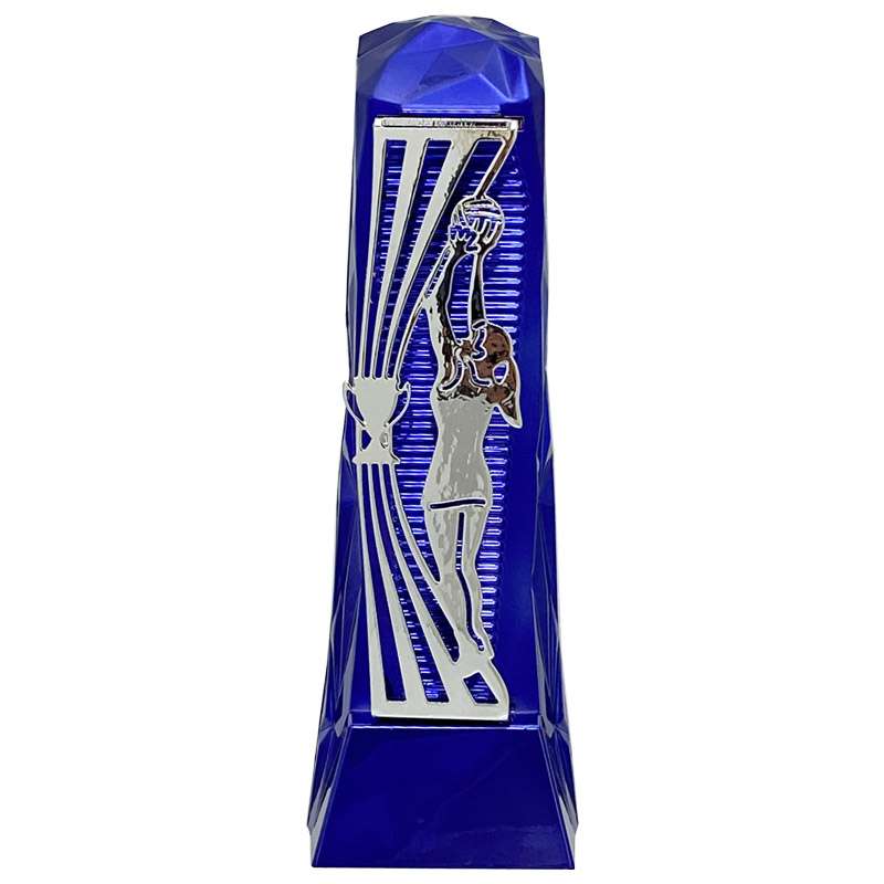 HENGE NETBALL – SILVER – BLUE – Blue