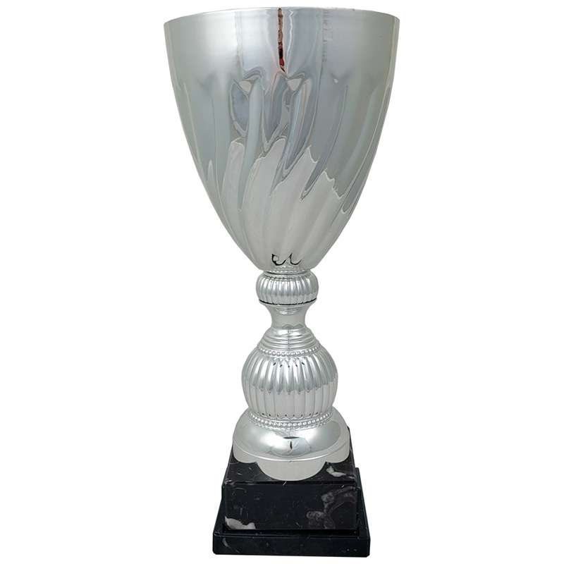 THE SILVER VORTEX CUP