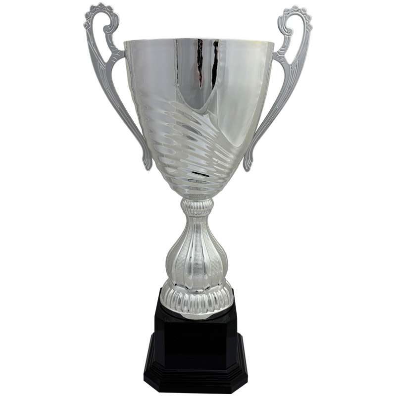 LARGE SILVER CUP WITH HANDLES