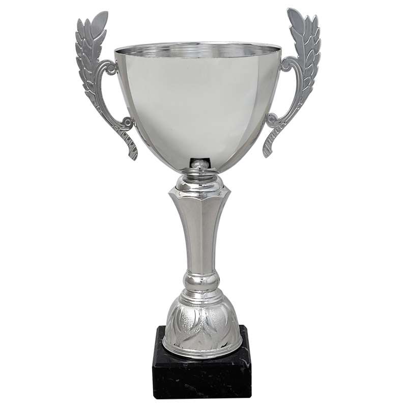 BRAGA RANGE CUP – – Silver