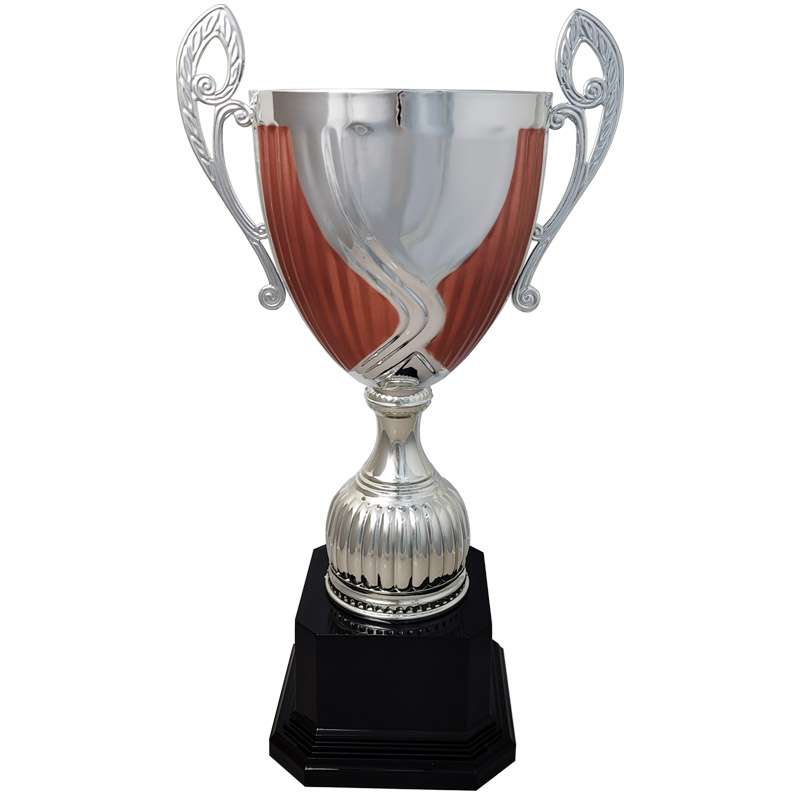THE BRONZE RANGE CUP – SILVER – Silver
