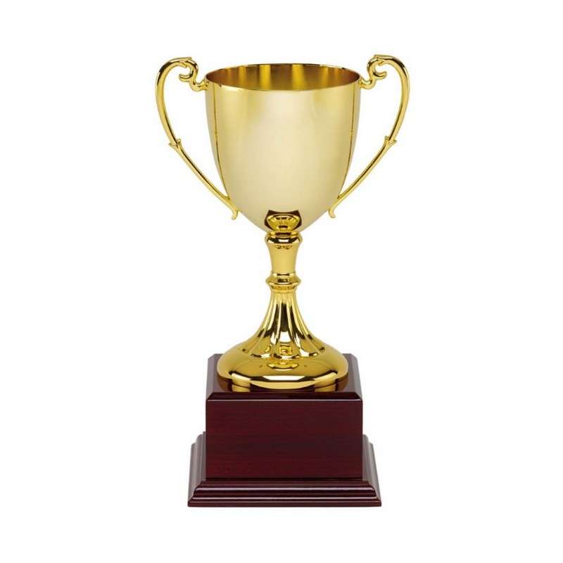 THE GOLD CUP