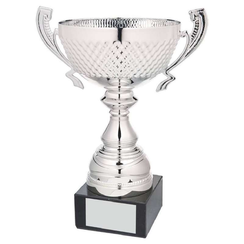 Silver Presentation Cup With Handles – Silver