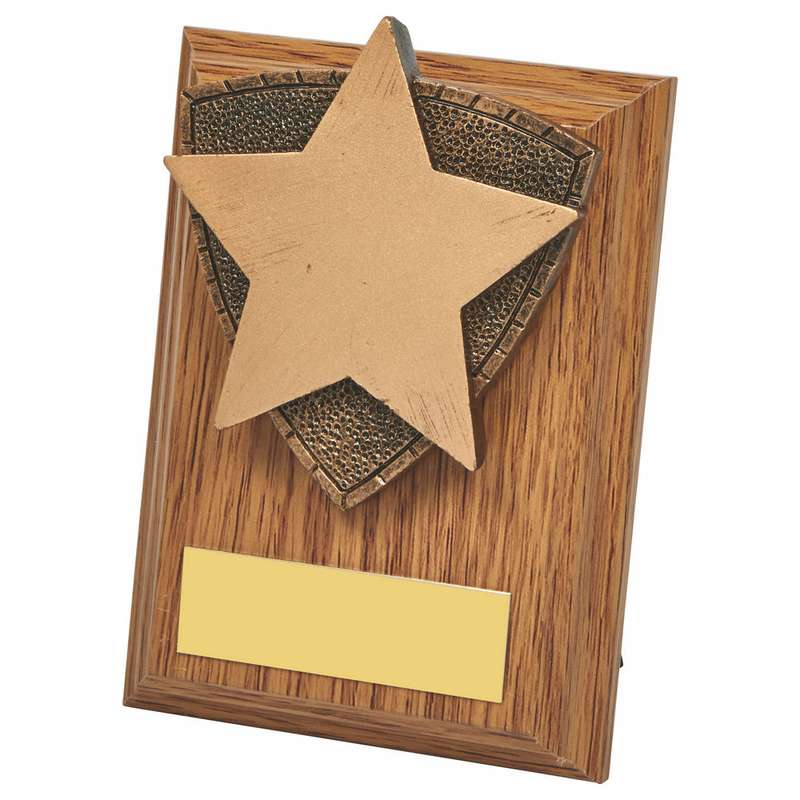Wood Plaque with Resin Star Trim – Light Oak