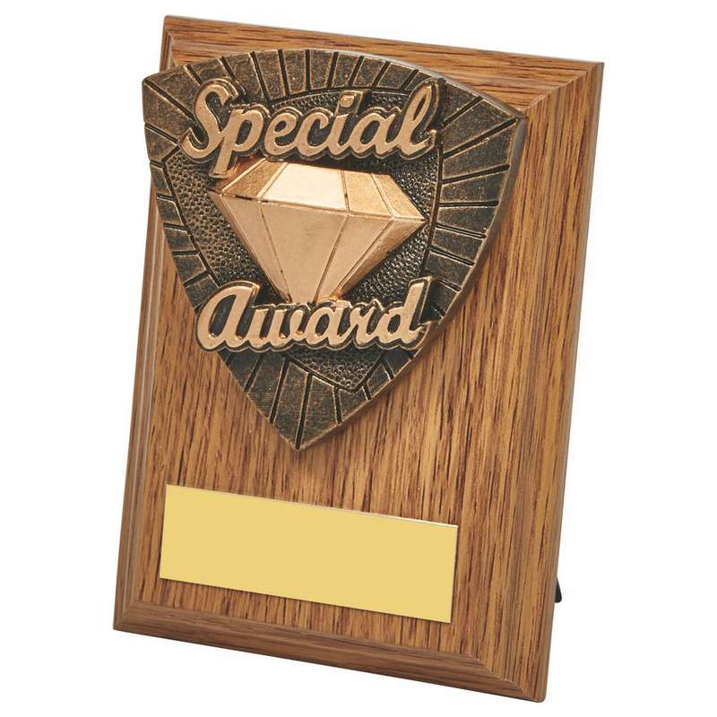 Wood Plaque with Resin Special Award Trim – Light Oak