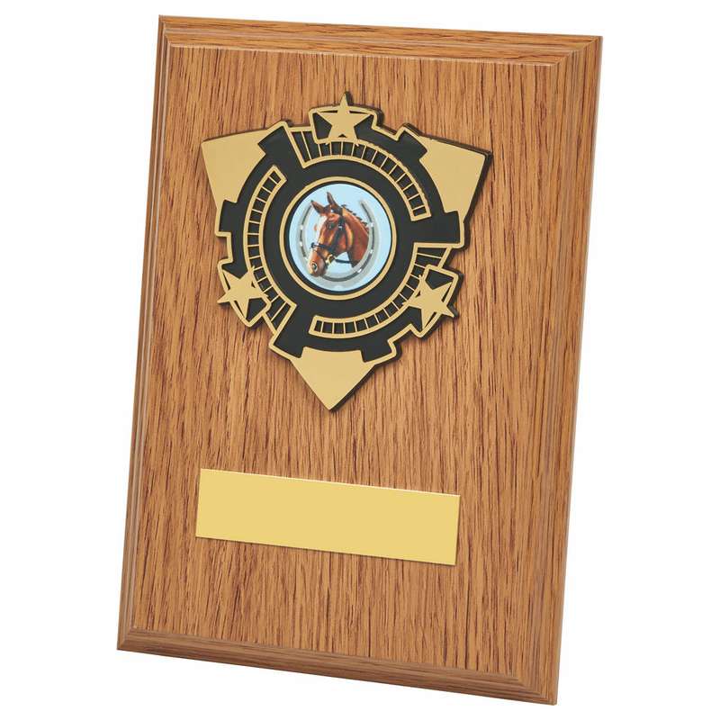 Light Oak Wood Plaque Award – Light Oak