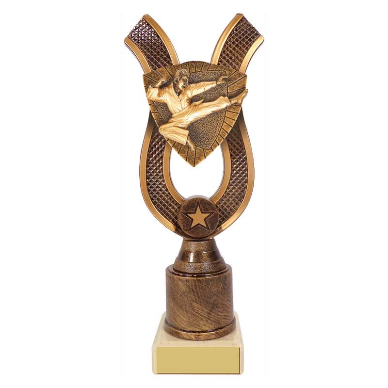 Antique Gold Ribbon Award with Resin Karate Trim – Ant Gold