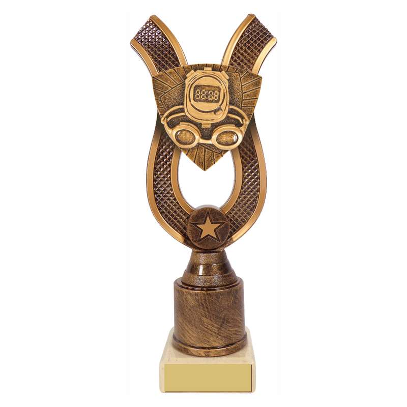 Antique Gold Ribbon Award with Resin Swimming Trim – Ant Gold