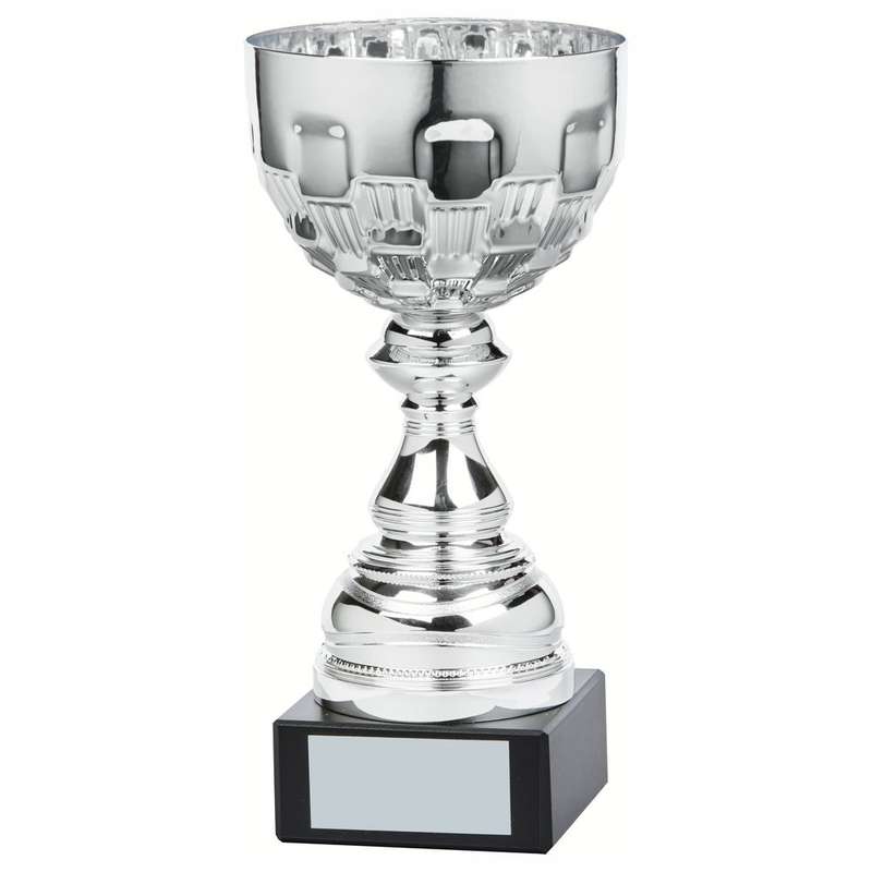 Silver Bowl Award – Silver