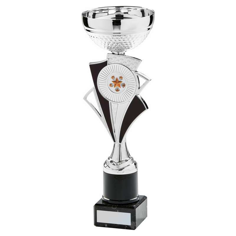 Silver Black Bowl Award – Silver/Black
