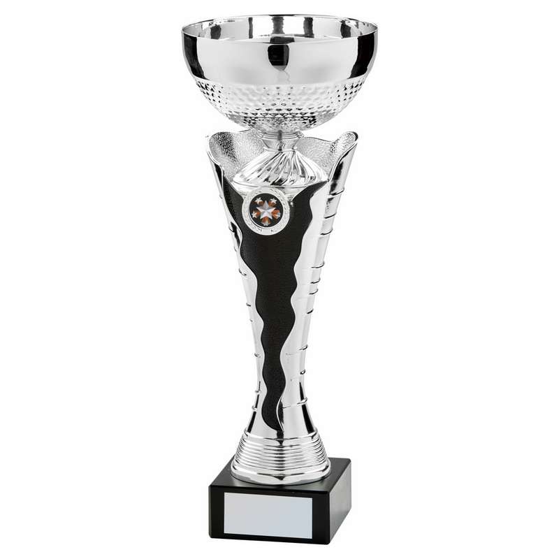 Silver Black Bowl Award – Silver/Black