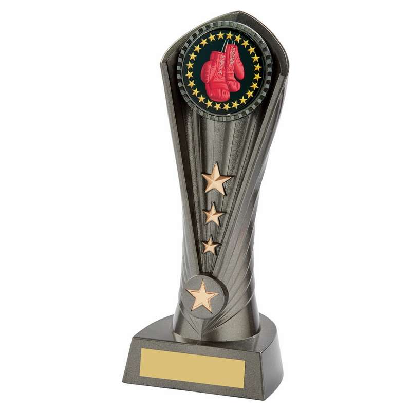 Gun Metal Silver “Cobra” Boxing Award – Ant Silver
