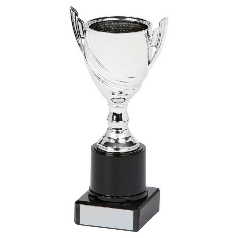 Silver Cup Award – Silver