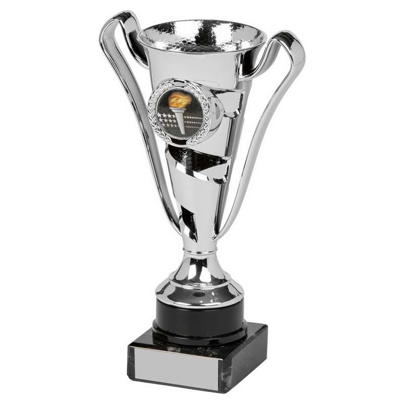 Silver Cup Award – Silver