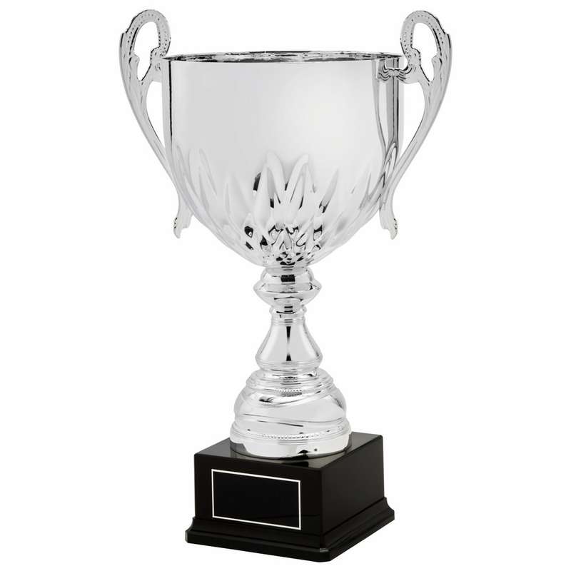 Silver Presentation Cup With Handles – Silver