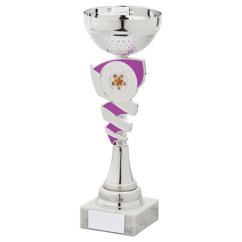 Silver and Purple Cup – Silver/Purple