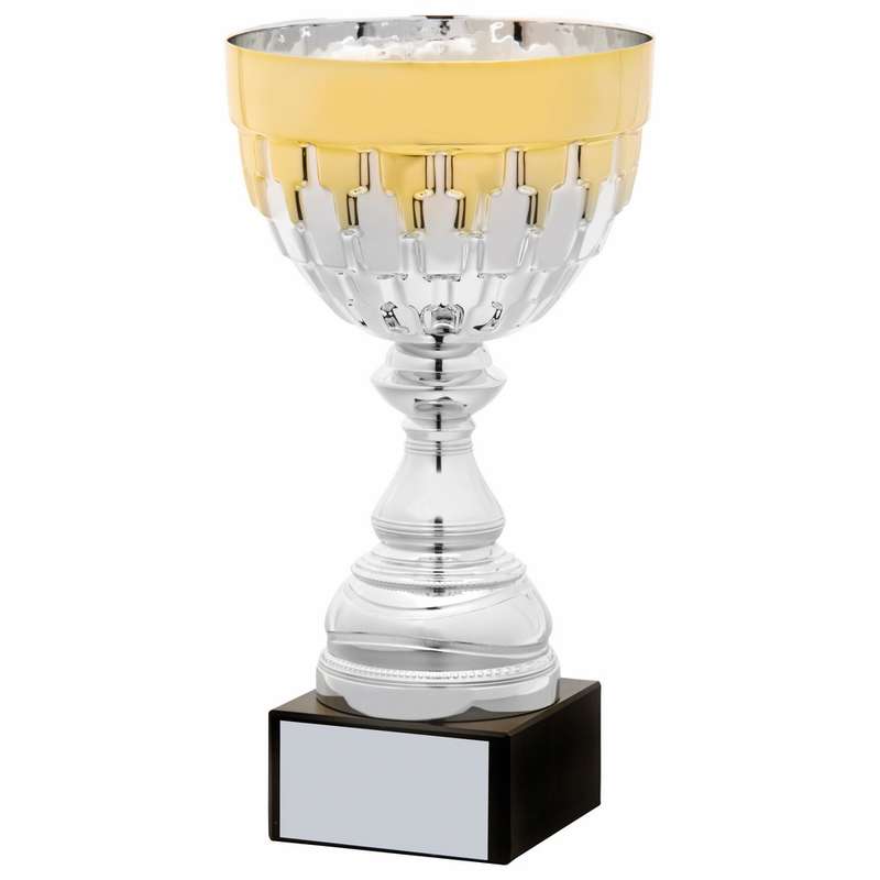 Silver and Gold Cup – Silver/Gold
