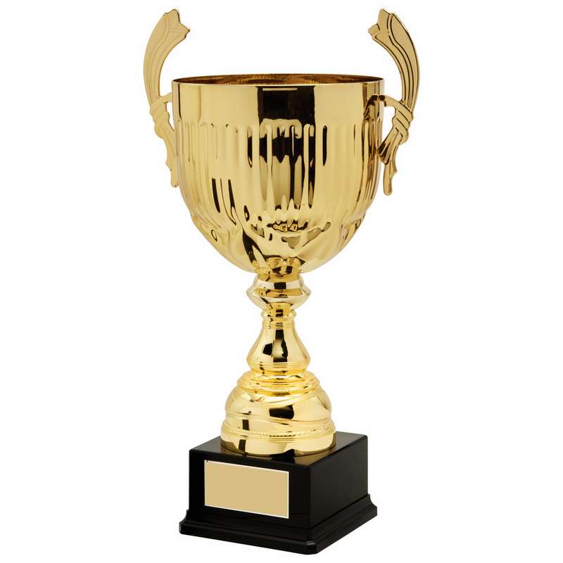 Gold Presentation Cup With Handles – Gold