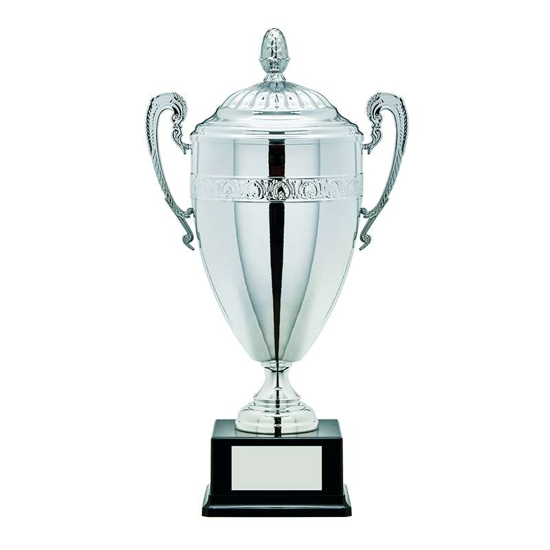 Silver Presentation Cup with Lid – Silver