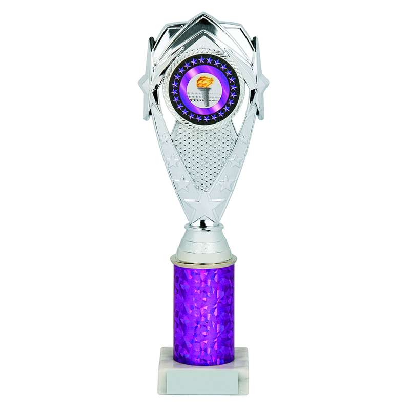 Silver/Purple Tube Award – Silver/Purple