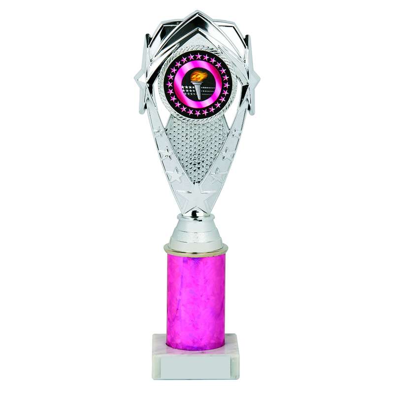 Silver/Pink Tube Award – Silver/Pink