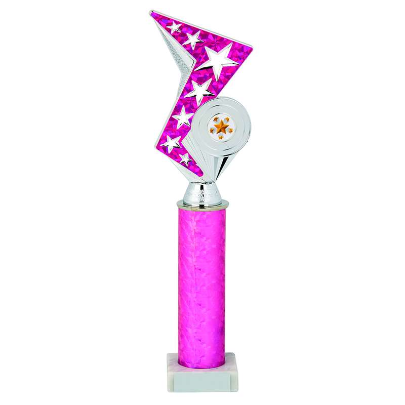 Silver/Pink Zig Zag Holder Award – Pink