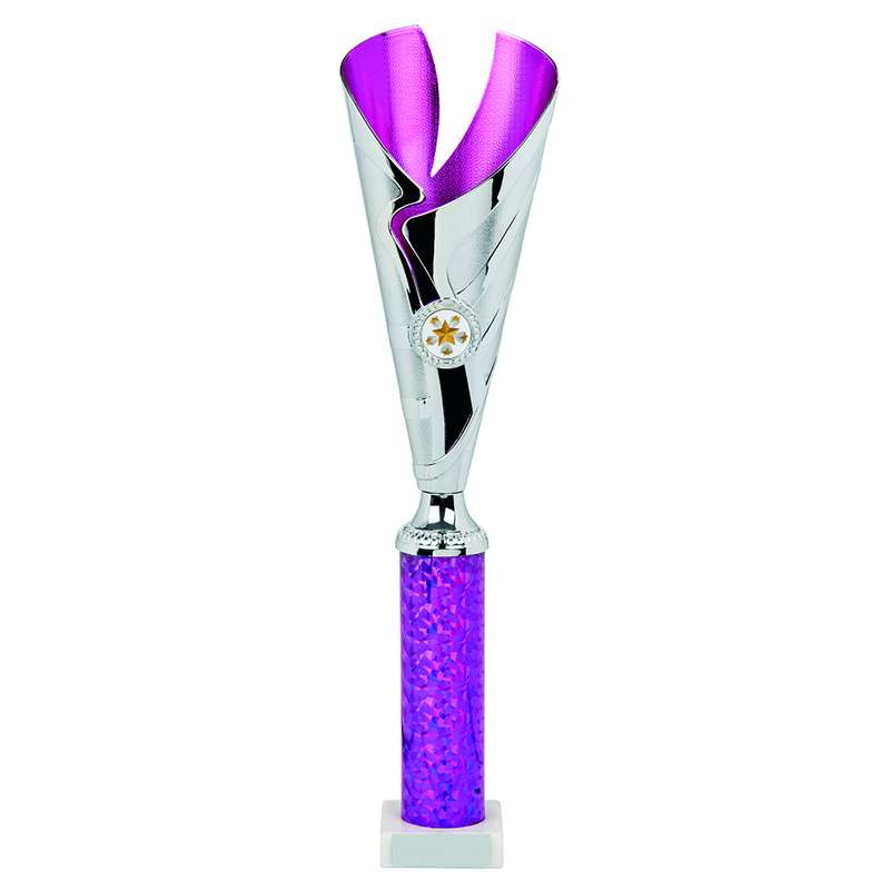 Silver/Purple Sculpture Award – Silver/Purple