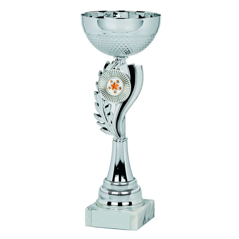 Silver/Black Bowl Award – Silver/Black