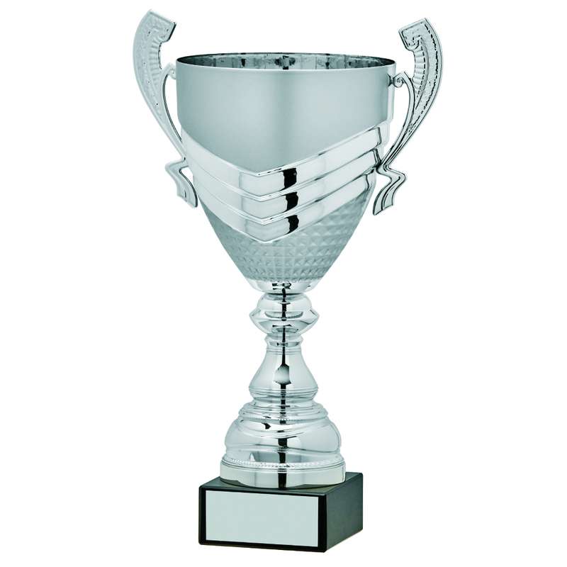 Silver Presentation Cup With Handles – Silver