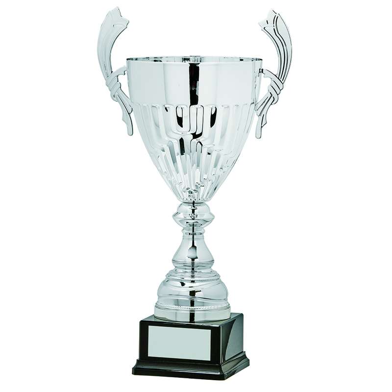 Gold Presentation Cup With Handles – Silver