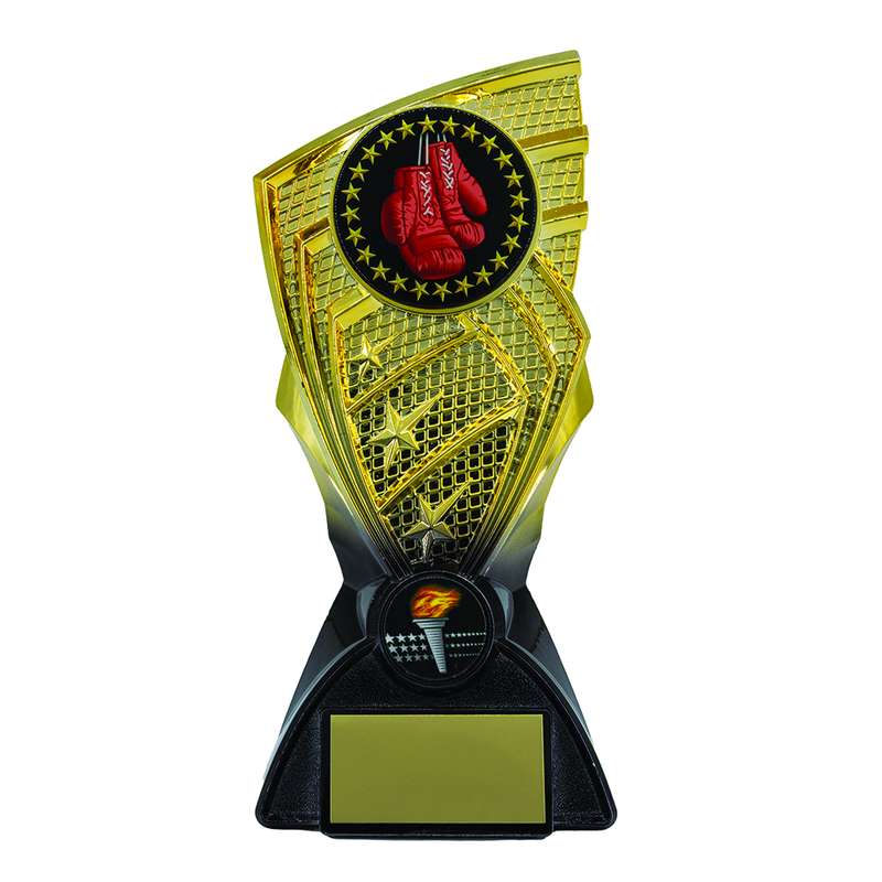 Gold/Black Shard Boxing Award – Gold/Black