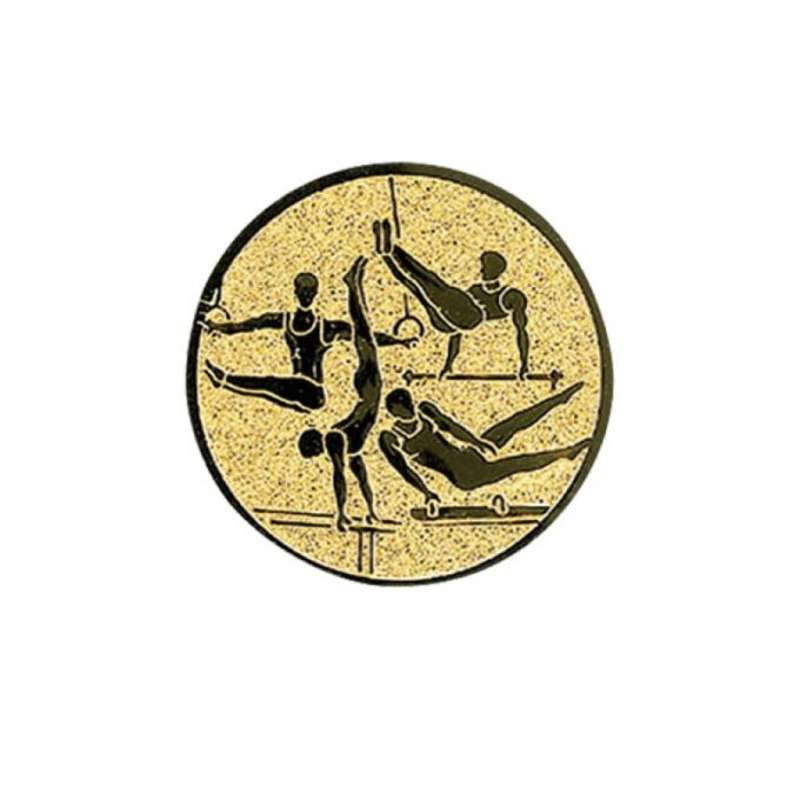 Q118 MALE GYMNASTICS FOIL CENTRE 25MM