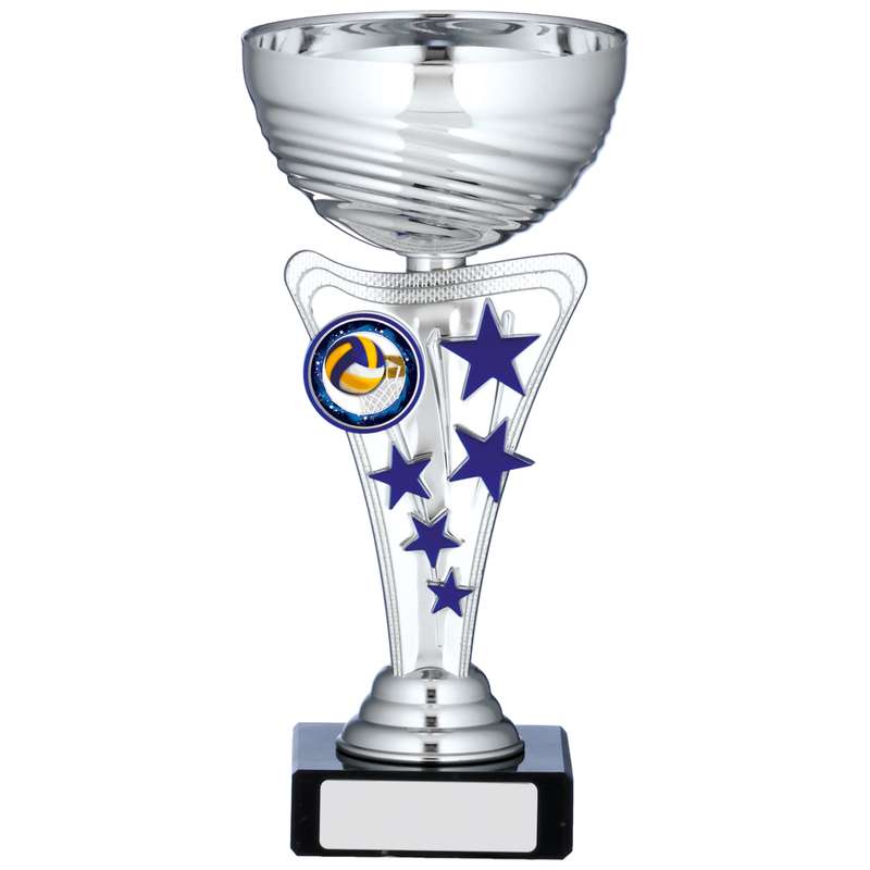 SILVER CUP TROPHY