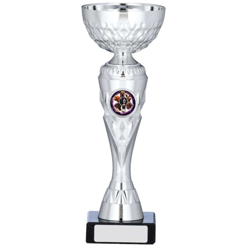 SILVER TROPHY