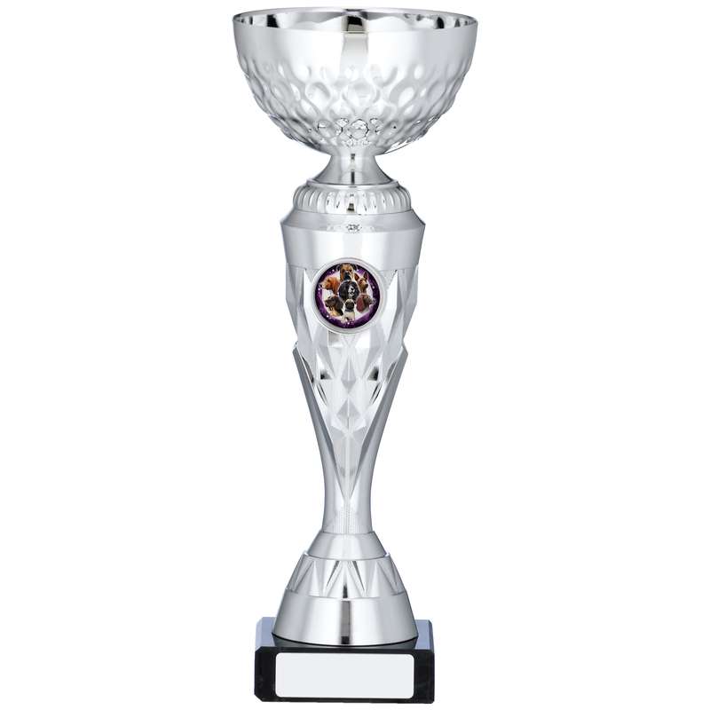 SILVER TROPHY