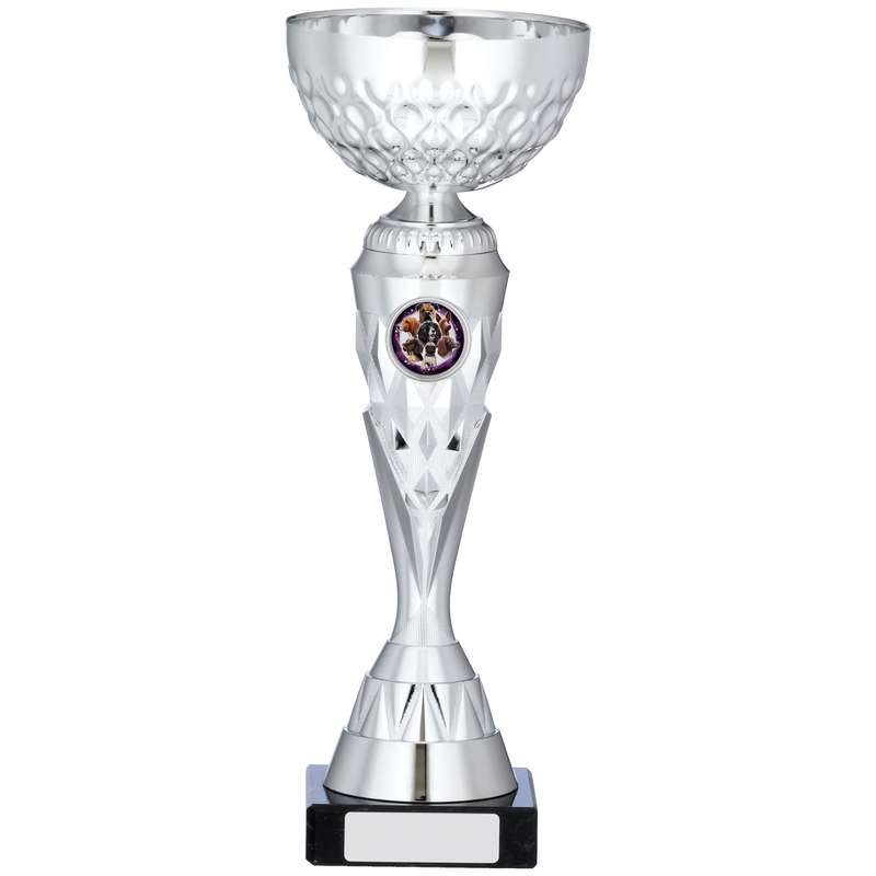 SILVER TROPHY