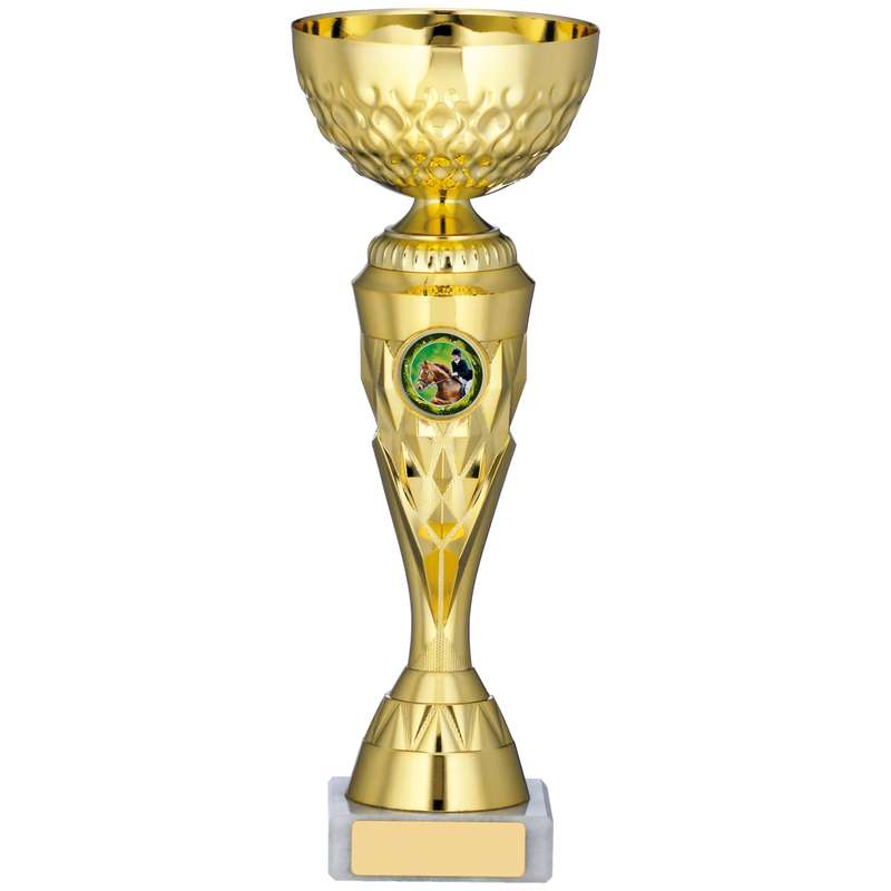 GOLD TROPHY