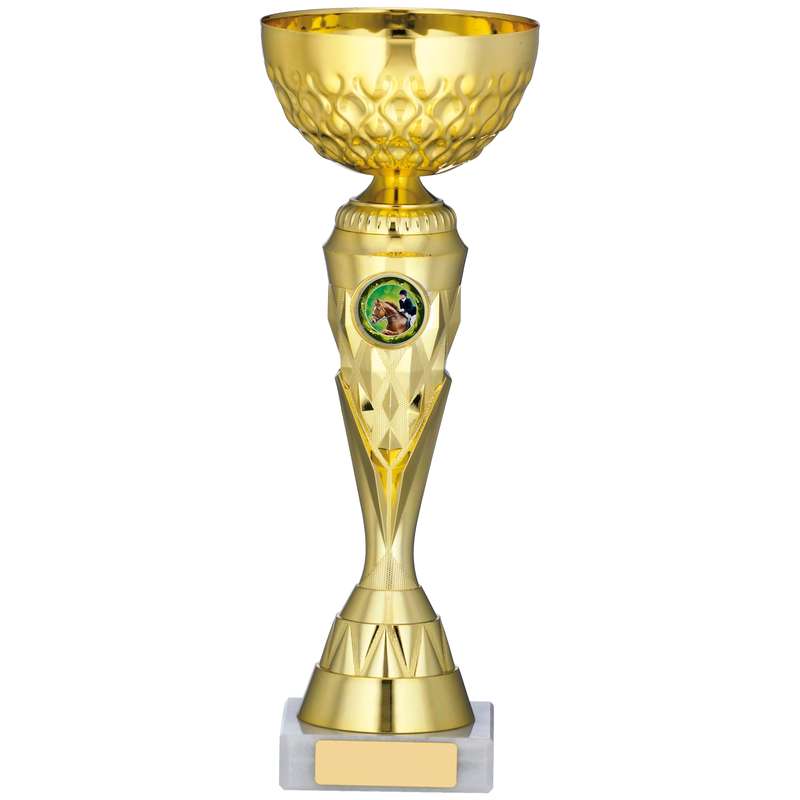 GOLD TROPHY