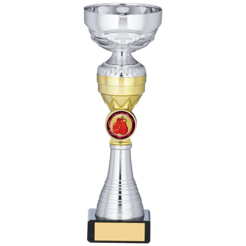 SILVER AND GOLD TROPHY