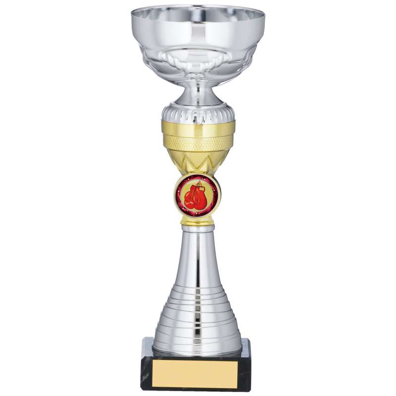 SILVER AND GOLD TROPHY