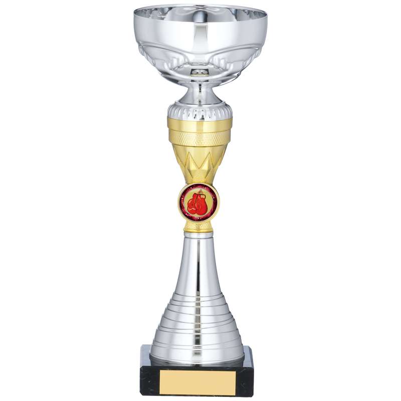 SILVER AND GOLD TROPHY