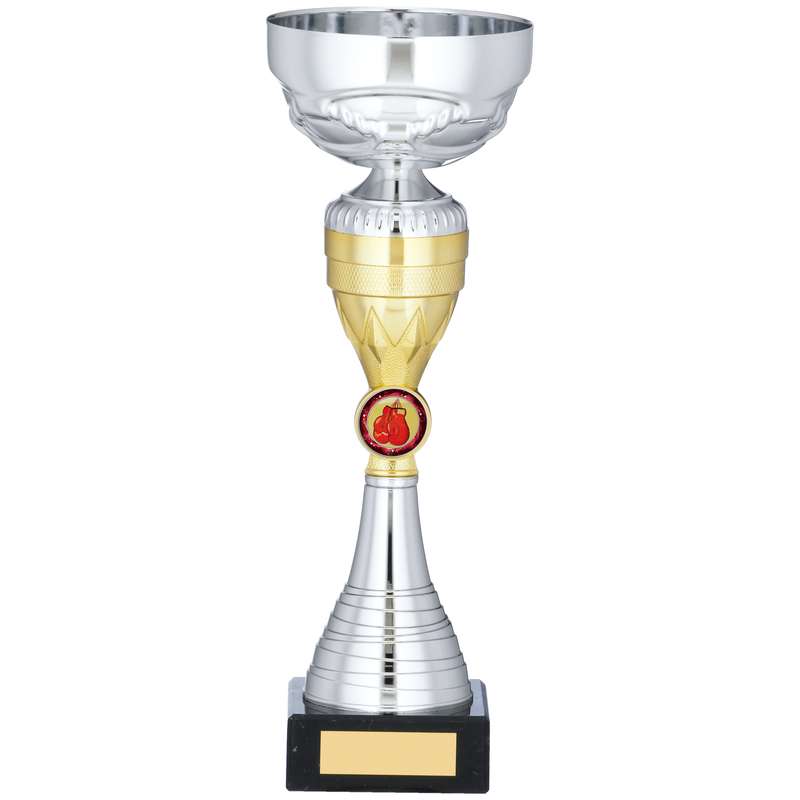 SILVER AND GOLD TROPHY