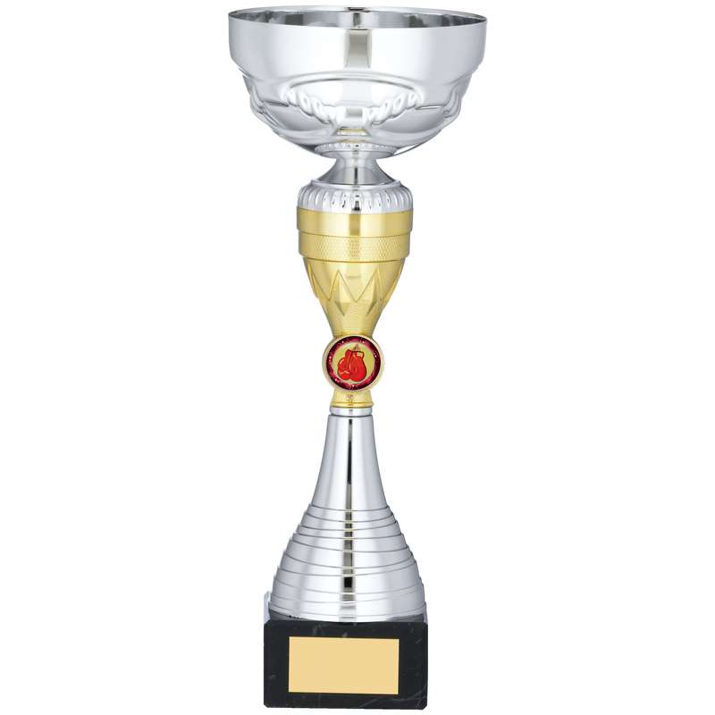 SILVER AND GOLD TROPHY
