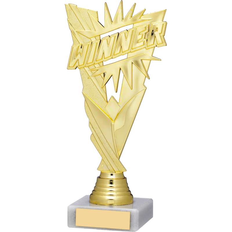 WINNER TROPHY